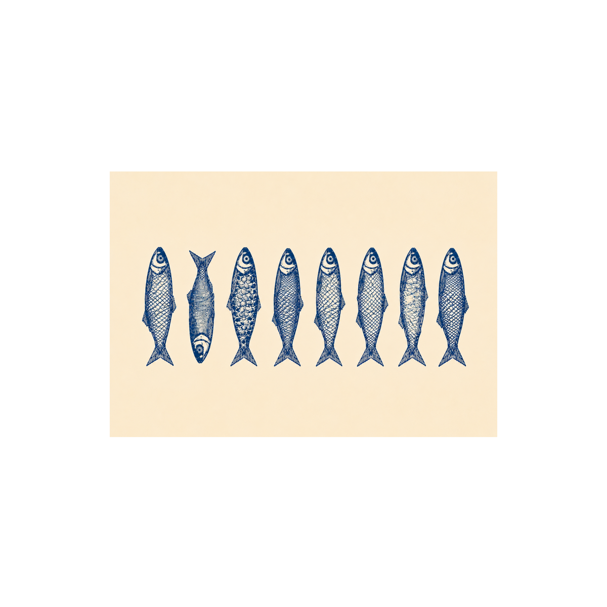 Blue Sardines